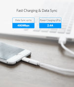 Ugreen Lightning to Micro USB OTG Adaptar