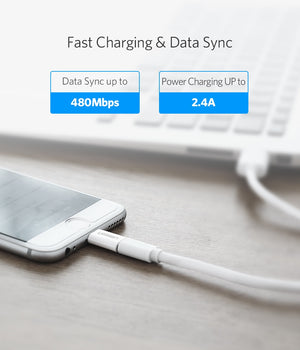 Ugreen Lightning to Micro USB OTG Adaptar